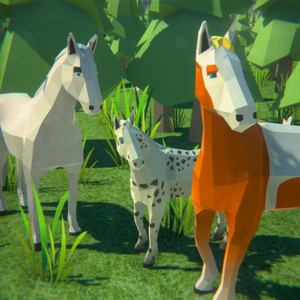 Horse Simulator
                                                                3D