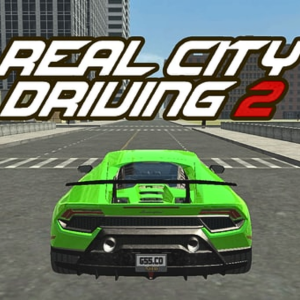 Real City Driving
                                2